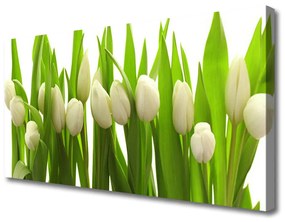 Quadro su tela Tulipani, fiori, piante 100x50 cm