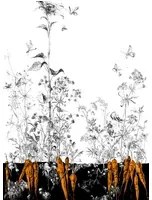 Edmond Petit Carta da parati Lièvres/Fenouil/Tournesol - Noir Orange - Tournesol Gauche - Noir Orange Doré