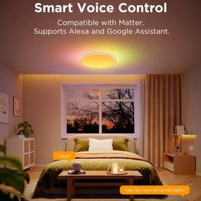 Govee - LED RGBIC Plafoniera con dimmer LED/49W/230V 2700-6500K Wi-Fi