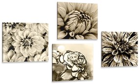 Set di quadri – Fiori in seppia