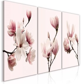 Quadro Spring Magnolias (3 Parts)  Colore Rosa, Dimensioni e Misure 120x60