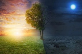 Carta da parati – Giorno e notte