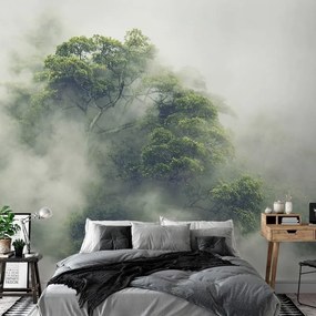 Fotomurale adesivo  Foggy Amazon  Larghezza x Altezza Home decor 147x105