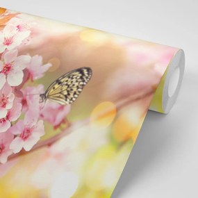 Carta da parati autoadesiva – Fiori primaverili con farfalle esotiche