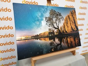 Quadro su tela – Albero sotto il cielo stellato
