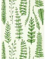 Scion Carta da parati Ferns - Juniper