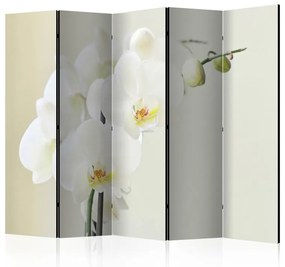 Paravento White orchid II [Room Dividers]