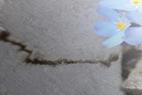 Stampa su tela – Cuoricino sul legno antico