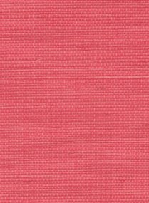 Élitis Carta da parati Sisal - RM 1069 53