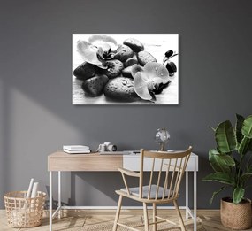 Quadro su tela – Bella armonia di pietre e orchidee in bianco e nero