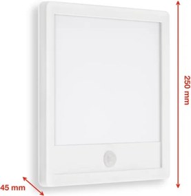 Telefunken 313806TF-LED Lampada esterna LED 15W 230V IP44 con sensore