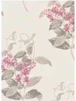 Cole & Son Carta da parati Madras Violet - Pink