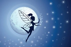 Quadro su tela – Fata al chiaro di luna