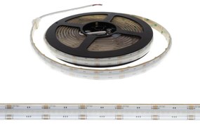 Striscia LED COB RGB Multicolore 16W/m 24VDC IP67 5m Professional Colore RGB