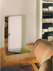 Porta per cantina a battente Tam in acciaio verniciato colore avorio, L 80 x H 205 cm, apertura reversibile