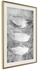 Poster  Delicate Feathers  Cornice Quadri Cornice d'oro con passe-partout, Larghezza x Altezza Home decor 20x30