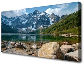 Quadro su tela Montagne del lago della foresta di Tatry 100x50 cm