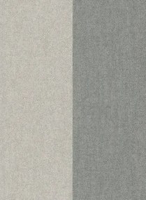 Flamant Carta da parati Grande Stripe - Cimento et Bristol