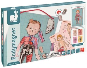 Bodymagnet - Lavagna magnetica - corpo umano