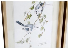 Quadro DKD Home Decor Uccelli (35 x 2.5 x 45 cm) (4 pezzi)