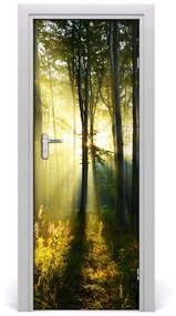 Rivestimento Per Porta Paesaggio forestale 75x205 cm