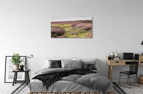 Quadro su tela Campo heather 100x50 cm