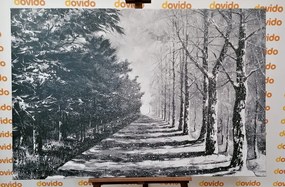 Stampa su tela – Viale alberato autunnale in bianco e nero