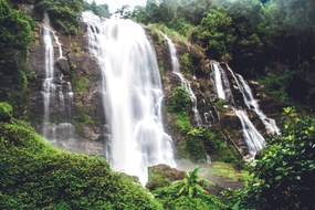 Carta da parati – Meraviglia della natura