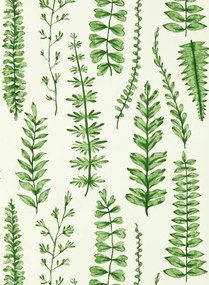 Scion Carta da parati Ferns - Juniper