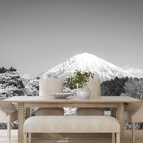 Carta da parati autoadesiva – Monte Fuji in bianco e nero