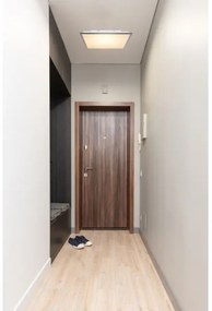 Globo 416080D2 - Plafoniera LED DORO LED/24W/230V