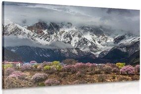 Stampa su tela – Paesaggio montano unico