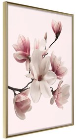 Poster  Blooming Magnolias I  Cornice Quadri Cornice d'oro, Larghezza x Altezza Home decor 40x60