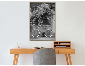 Poster Bicycle with White Tires