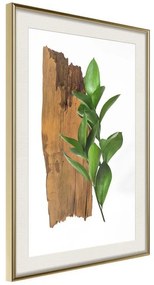 Poster  Forest Bouquet  Cornice Quadri Cornice d'oro con passe-partout, Larghezza x Altezza Home decor 20x30