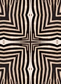 Zebra Tapete Serengeti von MINDTHEGAP - WP20505