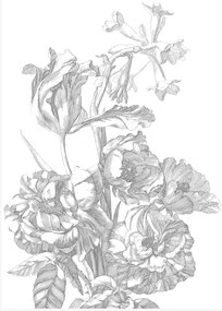 KEK Amsterdam Carta da parati panoramica Engraved Flowers 4 - M