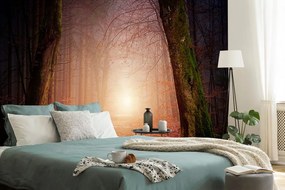 Carta da parati – Bosco dai colori fiabeschi