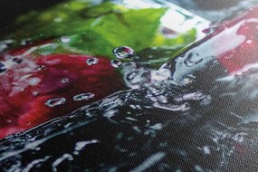 Stampa su tela – Cubetti di ghiaccio alla frutta