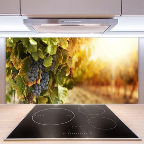 Pannello paraschizzi cucina Uva Foglie di cucina 100x50 cm