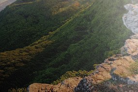 Stampa su tela – Natura baciata dal sole