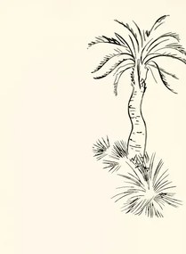 Paint & Paper Library Carta da parati Lighthouse Palm - Pentle