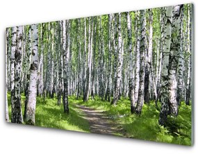 Pannello paraschizzi cucina Alberi del percorso della natura della foresta 100x50 cm