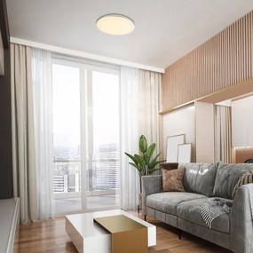 Rabalux 71053 - Plafoniera LED OSWALD LED/24W/230V 4000K diametro 40 cm