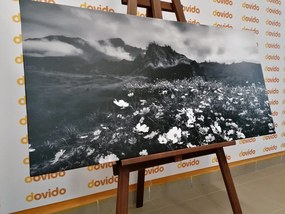 Stampa su tela – Prato di fiori in fiore in bianco e nero