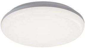 Rabalux 7979 - Plafoniera LED da esterno ERIC LED/24W/230V IP64