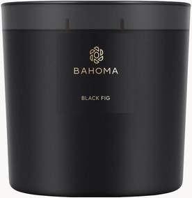 Candela profumata Black Fig (fico, anice, foglia verde)