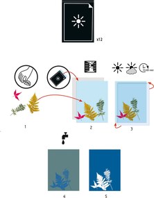 Cianotipia - set di carta fotosensibile