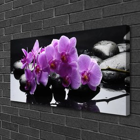 Quadro su tela Pianta di pietre di fiori 100x50 cm