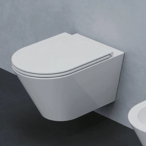 Wc Sospeso Senza Brida Azzurra Ceramica "Forma" Bianco Lucido